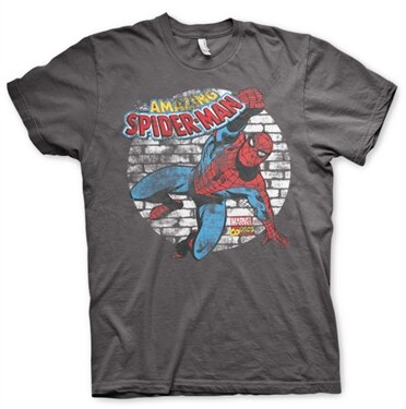 Distressed Spider-Man T-Shirt, Basic Tee