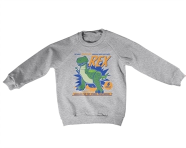 Toy Story - REX The Dinosaur Kids Sweatshirt, Kids Sweatshirt