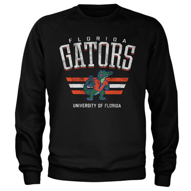 Florida Gators Vintage Sweatshirt, Sweatshirt