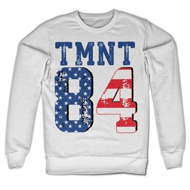 Läs mer om TMNT USA 1984 Sweatshirt, Sweatshirt
