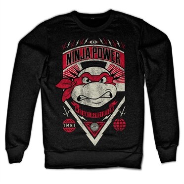 Läs mer om TMNT Ninja Power Sweatshirt, Sweatshirt
