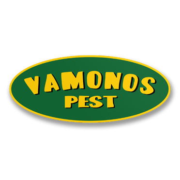 Läs mer om Vamonos Pest Oval Sticker, Accessories