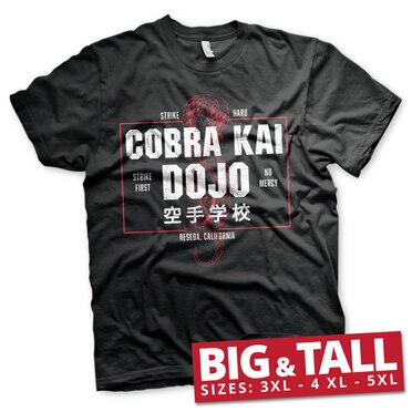 Läs mer om Cobra Kai Dojo Big & Tall T-Shirt, T-Shirt