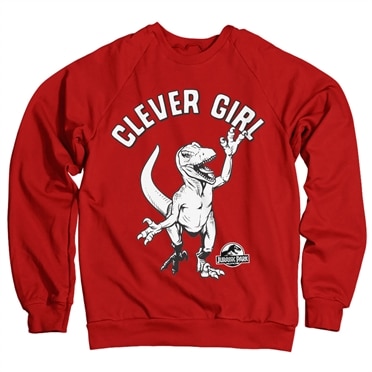 Läs mer om Clever Girl Sweatshirt, Sweatshirt