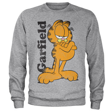 Läs mer om Garfield Sweatshirt, Sweatshirt