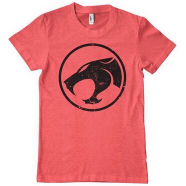Läs mer om Thundercats Washed Logo T-Shirt, T-Shirt