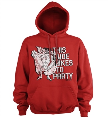 This Dude Likes To Party Hoodie, Hooded Pullover