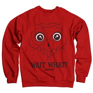 Läs mer om Gremlins - Wait. What? Sweatshirt, Sweatshirt