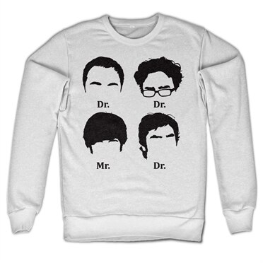 Läs mer om Big Bang Theory Prefix Heads Sweatshirt, Sweatshirt
