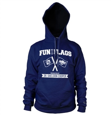 Fun With Flags Hoodie, Hooded Pullover