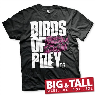 Birds Of Prey Logo Big & Tall Tee, Big & Tall Tee