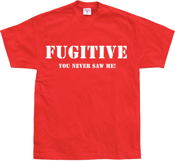 Fugitive - You Never Saw Me!
